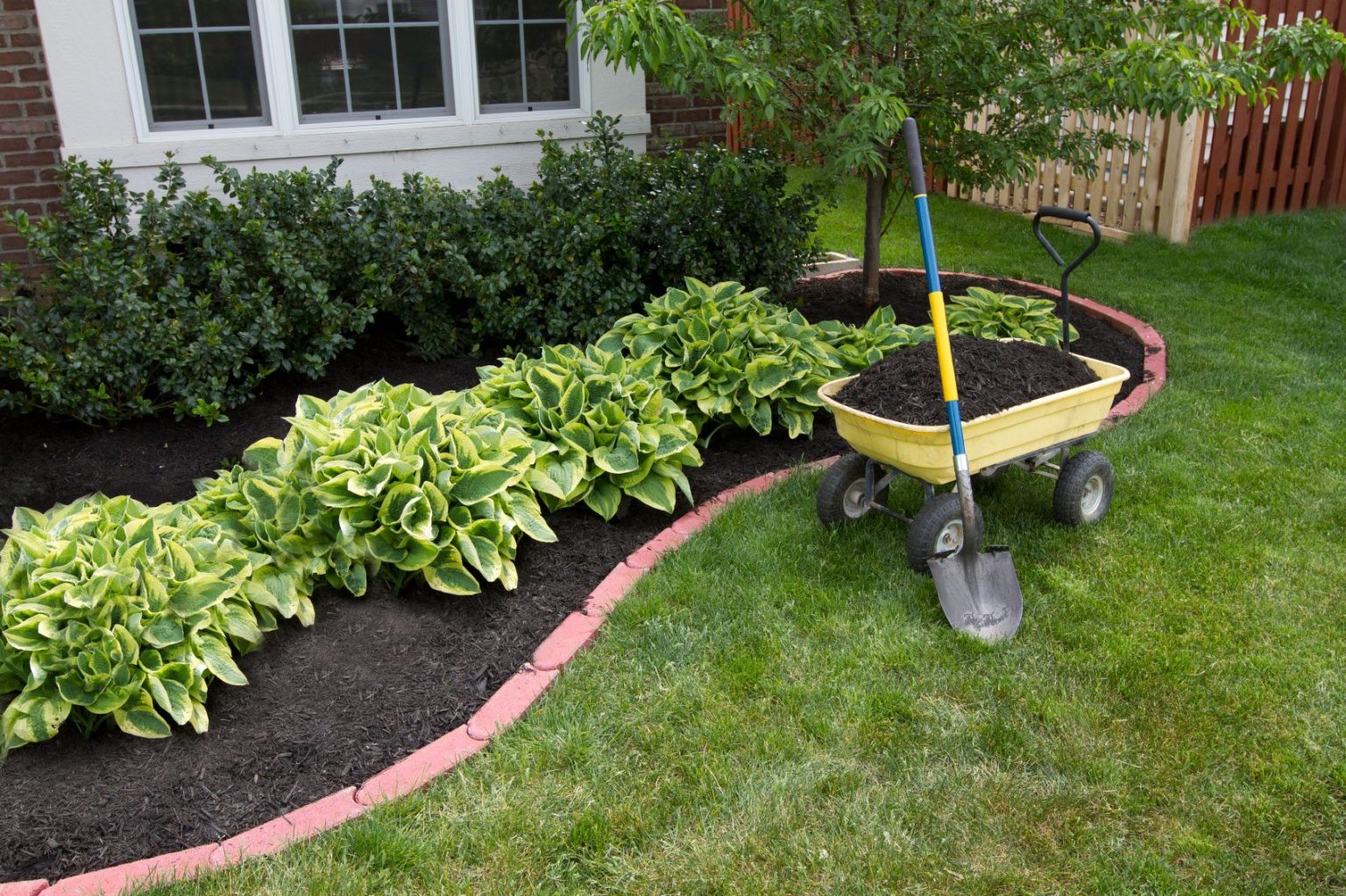 How To Lay Mulch Around Flowers at Alvin Jordan blog